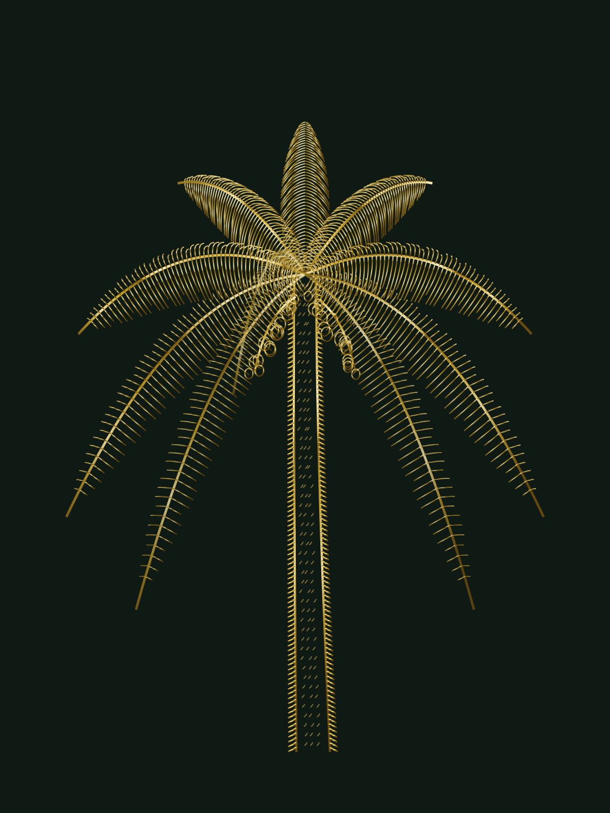 A werregue palm, the source of the fiber